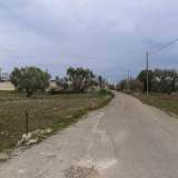 ...tra l�altro dopo 150 metri devia sulla sinistra costeggiando mandorli in fiore e uliveti...